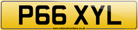 P66 XYL
