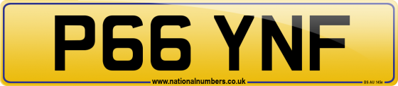 P66 YNF