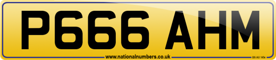 P666 AHM