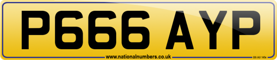 P666 AYP