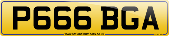 P666 BGA