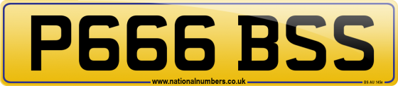 P666 BSS
