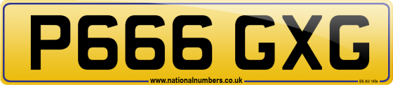 P666 GXG