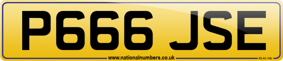 P666 JSE