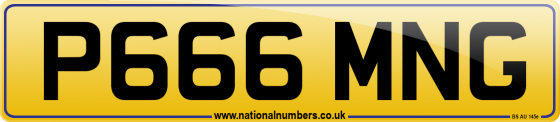 P666 MNG