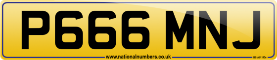 P666 MNJ