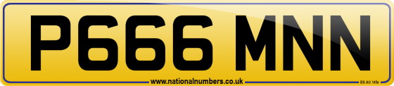P666 MNN