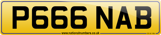 P666 NAB