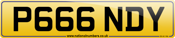 P666 NDY