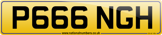 P666 NGH