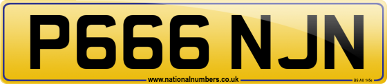 P666 NJN