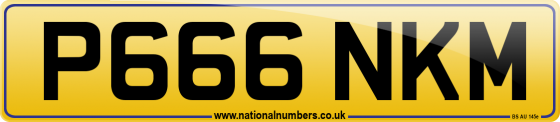 P666 NKM