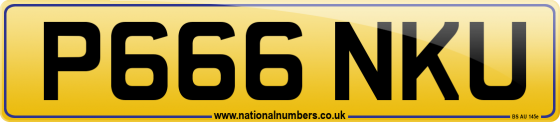 P666 NKU