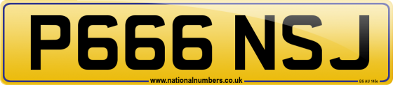 P666 NSJ