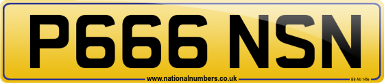 P666 NSN
