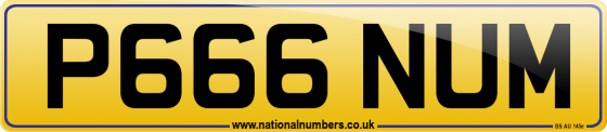 P666 NUM