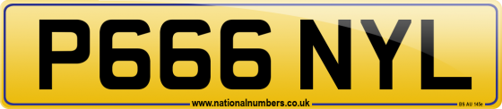 P666 NYL
