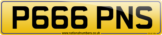 P666 PNS