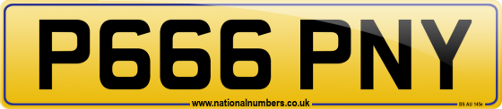 P666 PNY