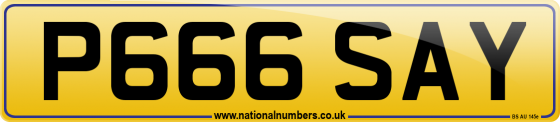 P666 SAY