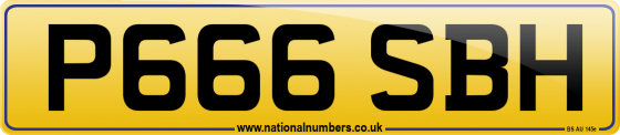 P666 SBH