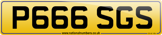 P666 SGS