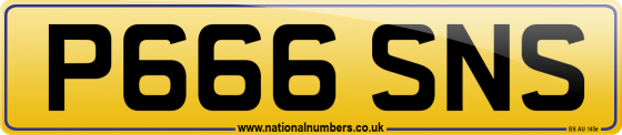 P666 SNS