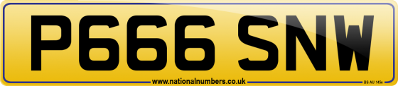 P666 SNW