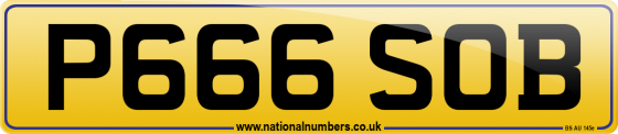P666 SOB