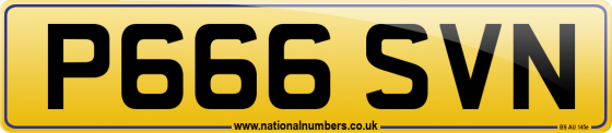 P666 SVN