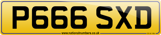 P666 SXD