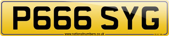 P666 SYG