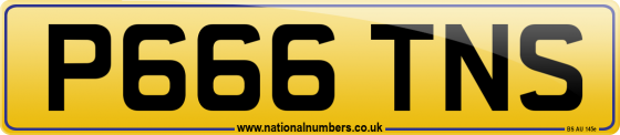 P666 TNS