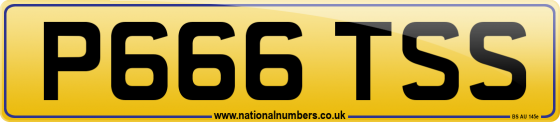 P666 TSS
