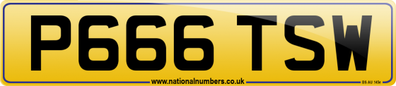 P666 TSW