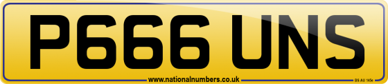 P666 UNS