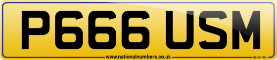 P666 USM