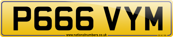 P666 VYM