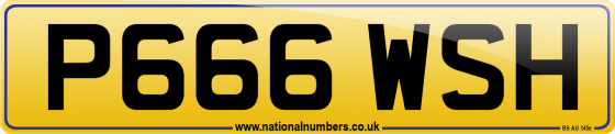 P666 WSH