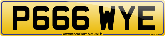 P666 WYE