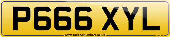 P666 XYL