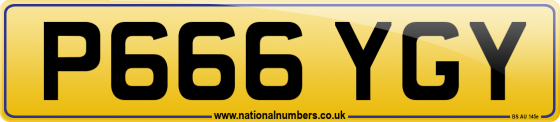 P666 YGY