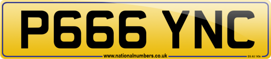 P666 YNC