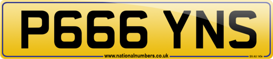 P666 YNS
