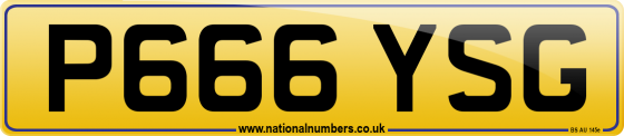 P666 YSG