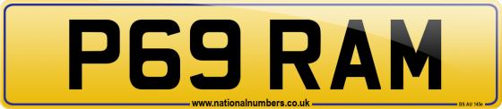 P69 RAM