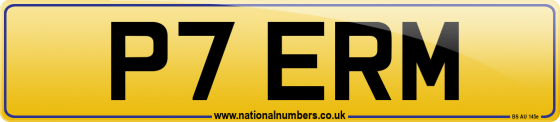P7 ERM