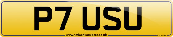 P7 USU