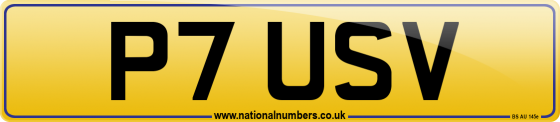 P7 USV