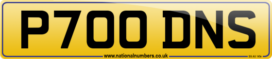 P700 DNS